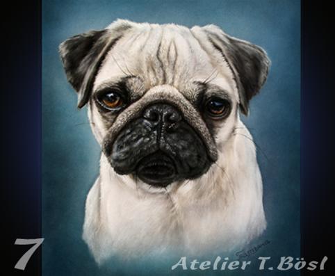 Airbrush Tierporträt Hund im Kurs